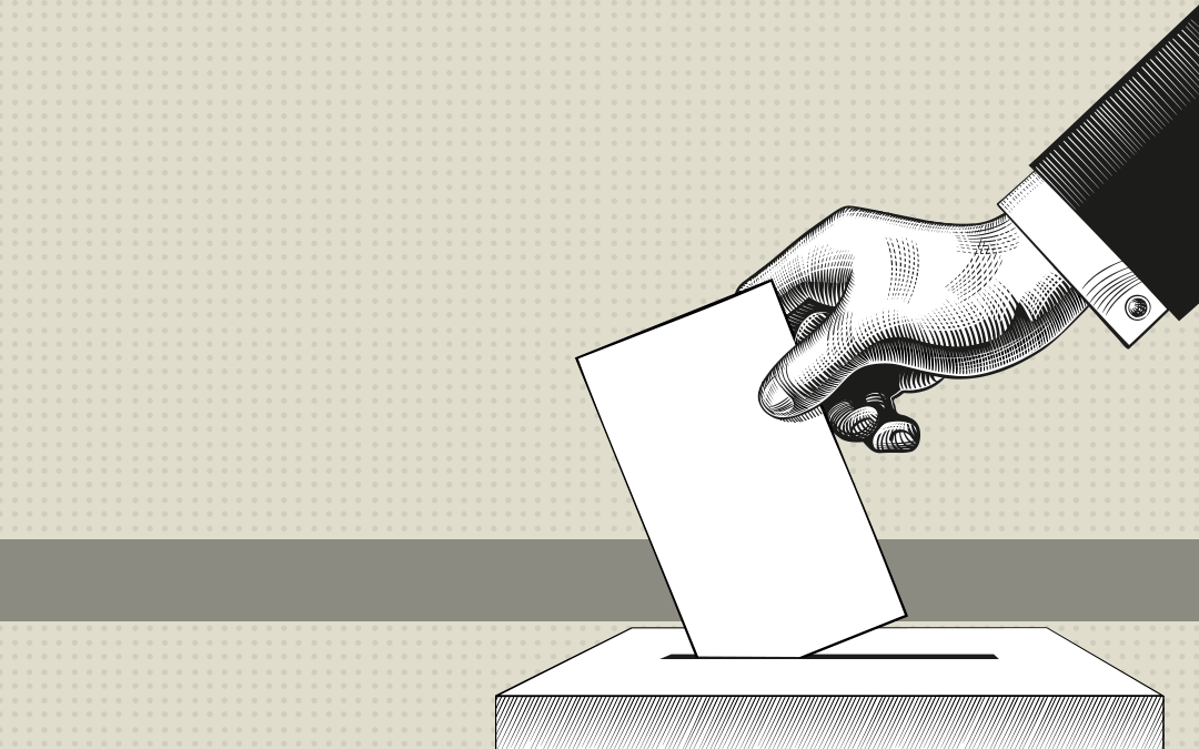 Las elecciones 2024 en números