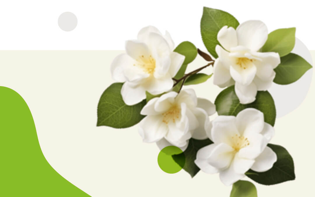 Del Campo al Florero: La Logística Detrás de Cada Flor