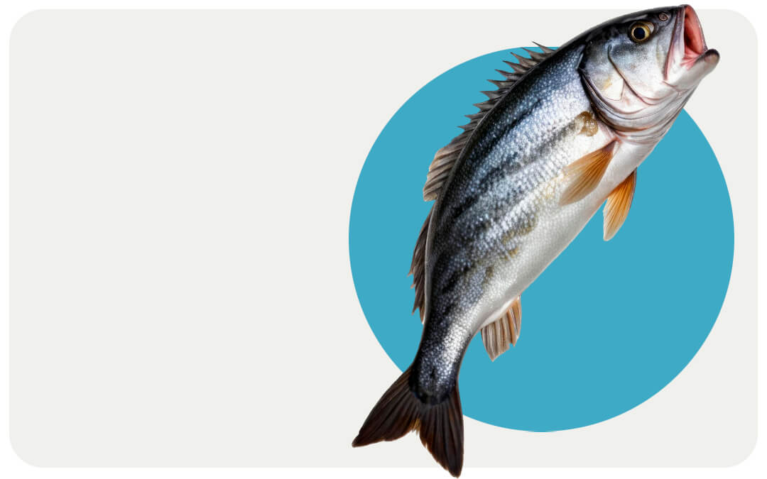 La logística del pescado