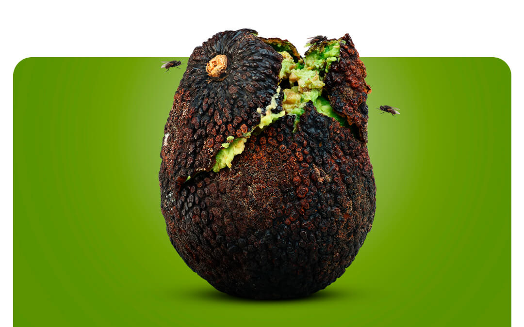 Industria agroalimentaria: Una cadena vulnerable